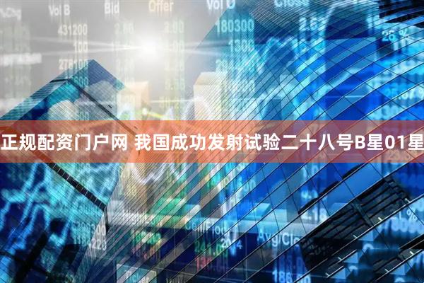 正规配资门户网 我国成功发射试验二十八号B星01星